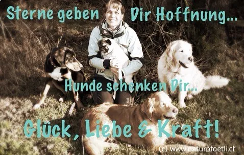 Natur Pfötli - Hundebesitzerin mit 4 Hunden in der Natur